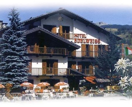 Hotel Edelweiss & Spa Чезана-Торинезе Экстерьер фото