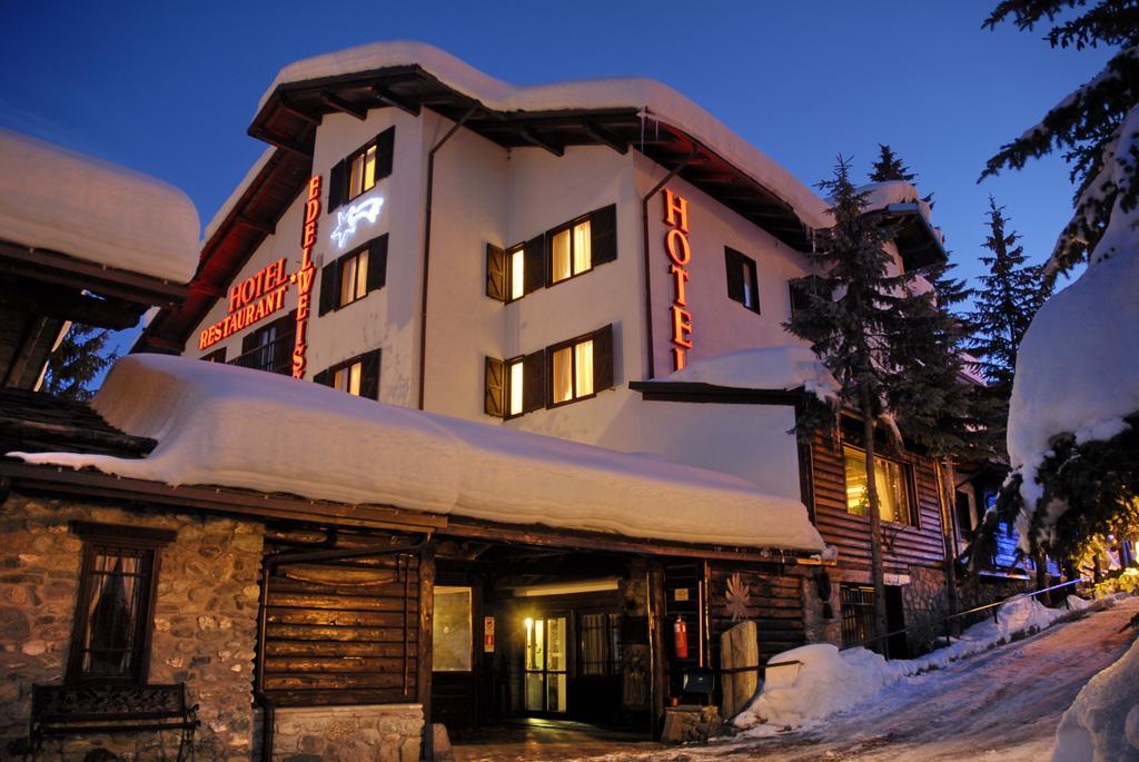 Hotel Edelweiss & Spa Чезана-Торинезе Экстерьер фото