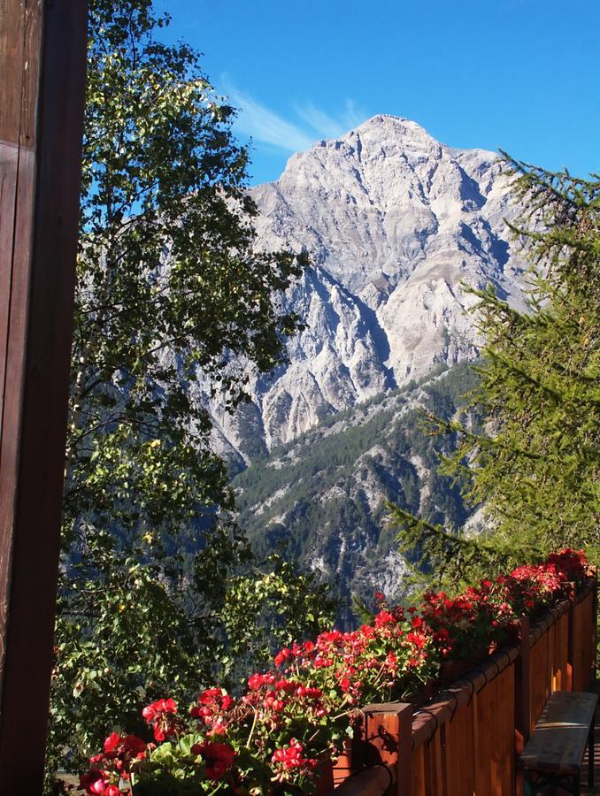 Hotel Edelweiss & Spa Чезана-Торинезе Экстерьер фото